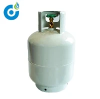 Pou kwit manje 20lbs 9kg lp Silenn pétrolifère rezidansyèl itilize